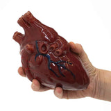 A person holding a deep red colored fake human heart prop with vein and artery detailing.