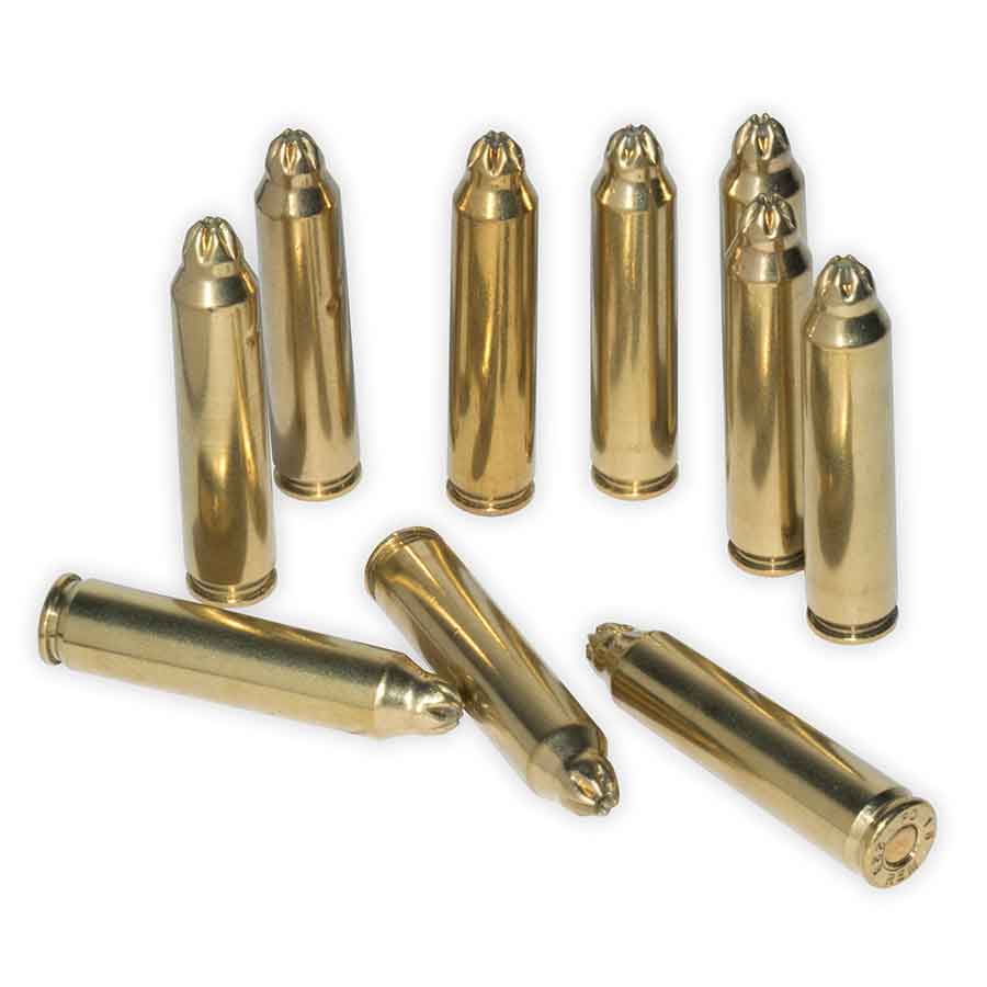 10 units of blank ammunition .223