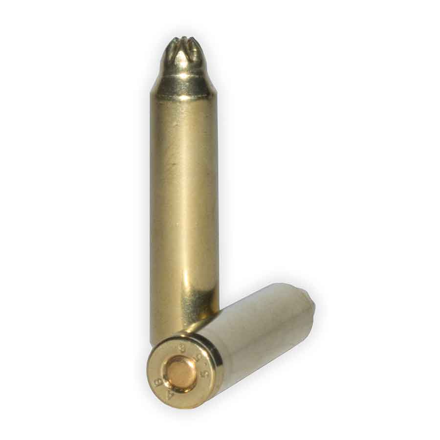 blank ammunition .223 for AR15, Mini 14,M16