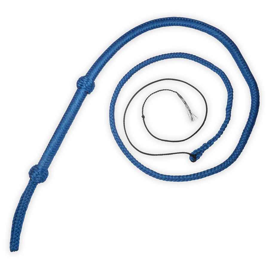 Bullwhips