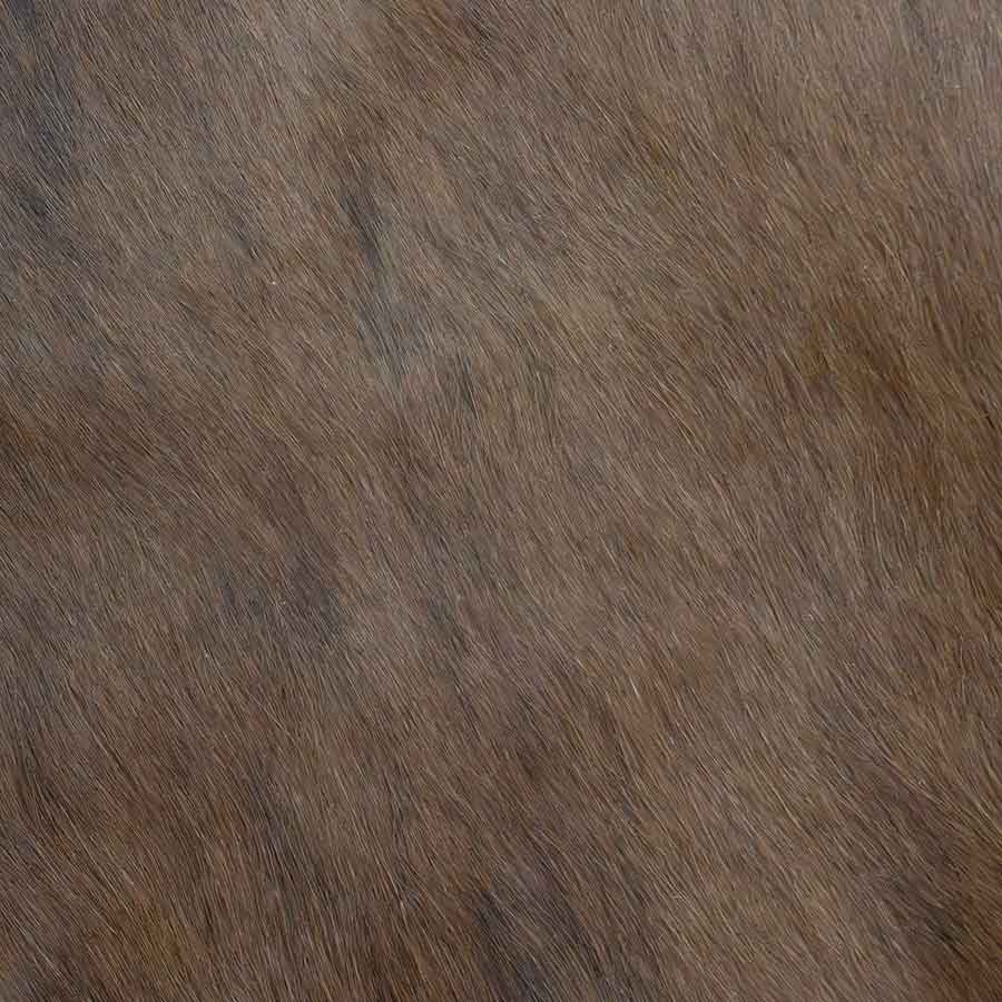 Cowhide Rug Rental Prop