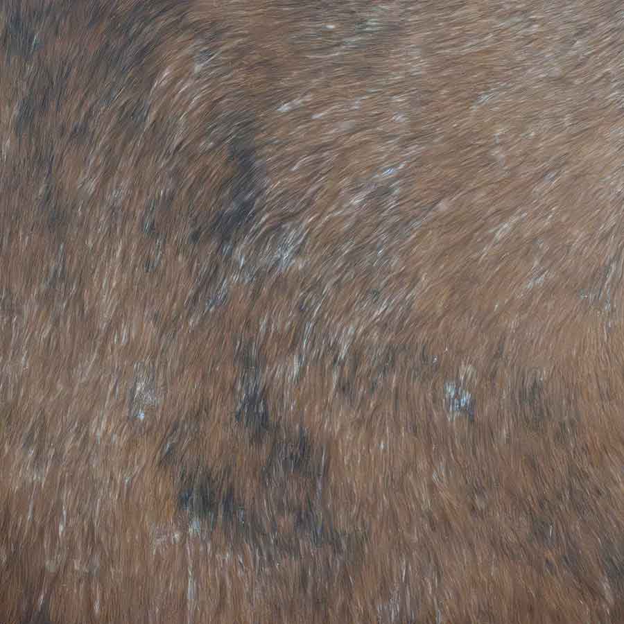 Cowhide Rug Rental Prop