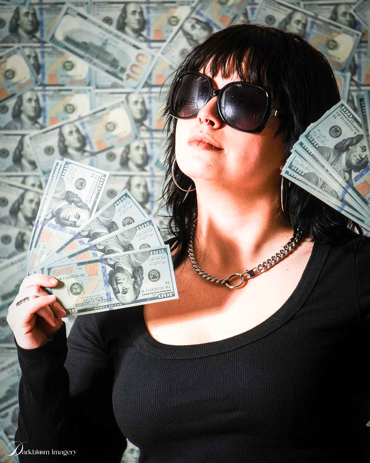 Money Wall / Pile of Money Photography Backdrop