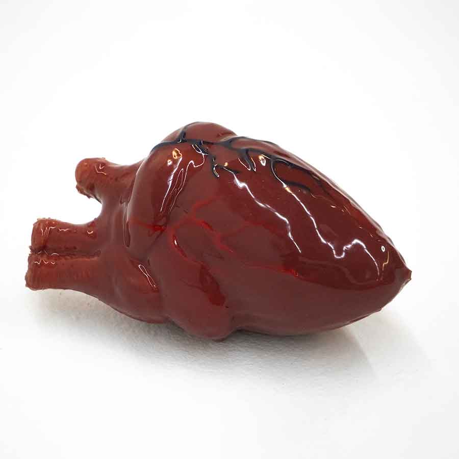 Fake Human Heart Prop