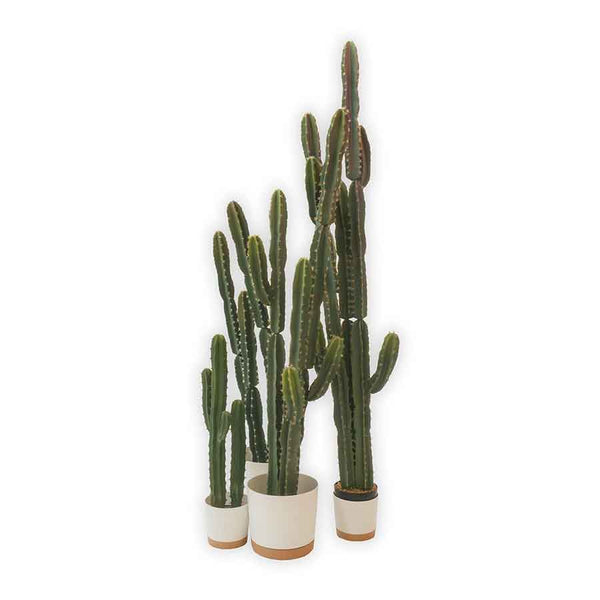 Faux Cactus Tall Rental Prop