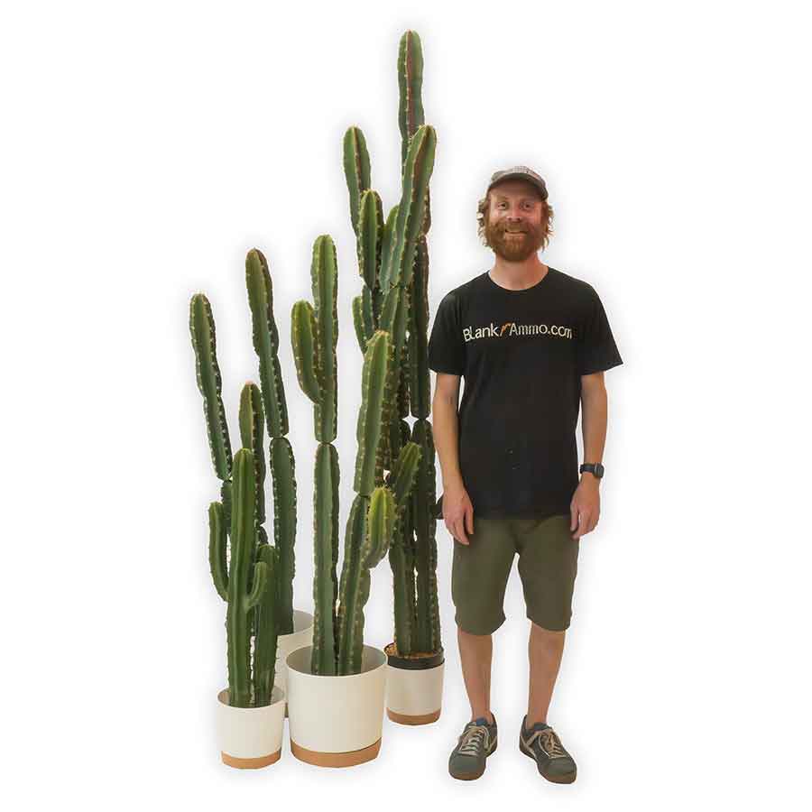Faux Cactus Tall Rental Prop