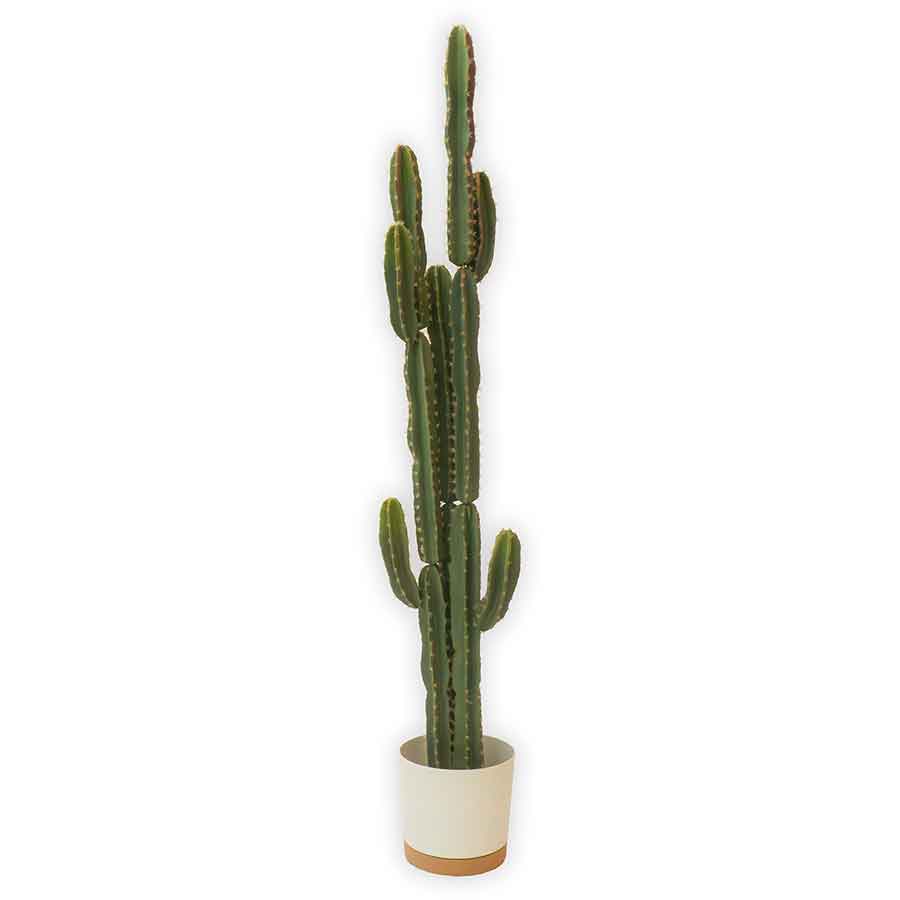 Faux Cactus Tall Rental Prop