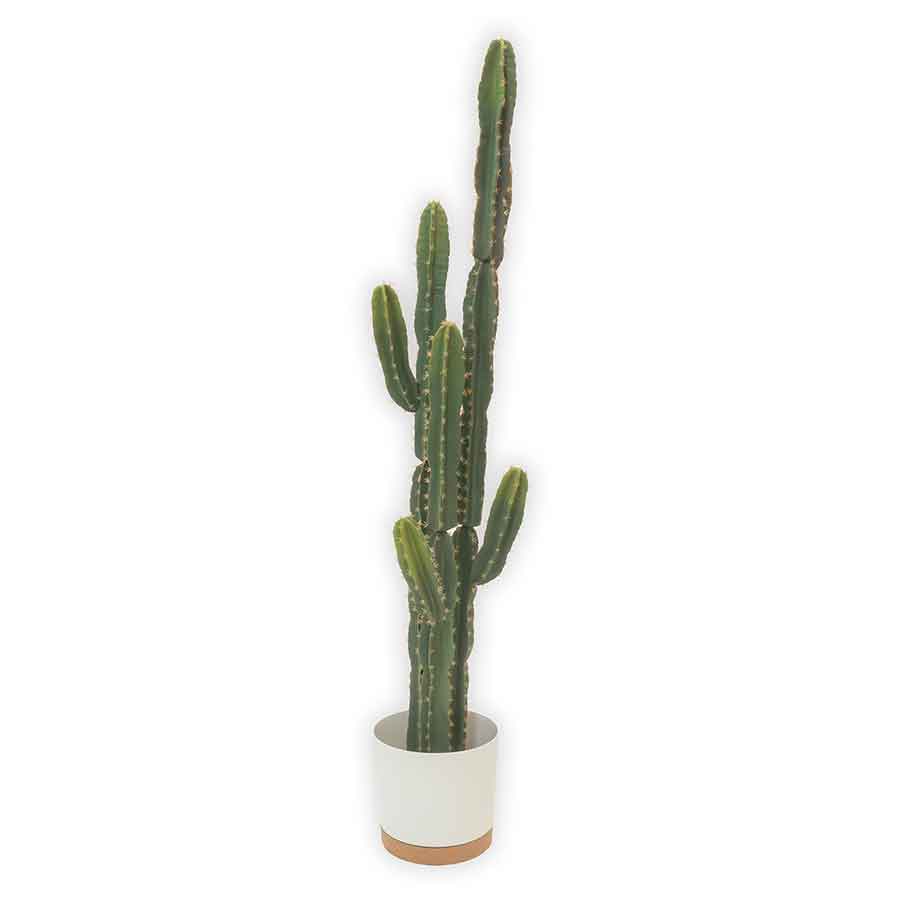 Faux Cactus Tall Rental Prop