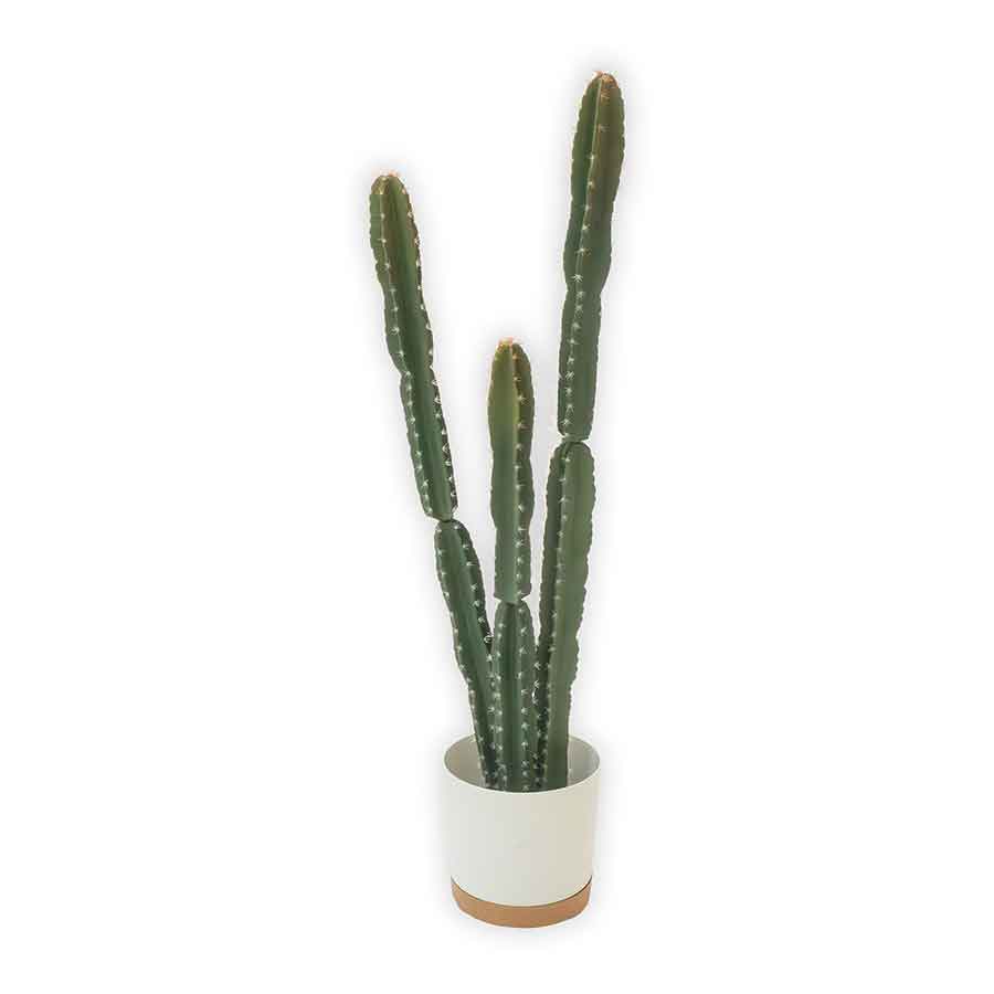 Faux Cactus Tall Rental Prop