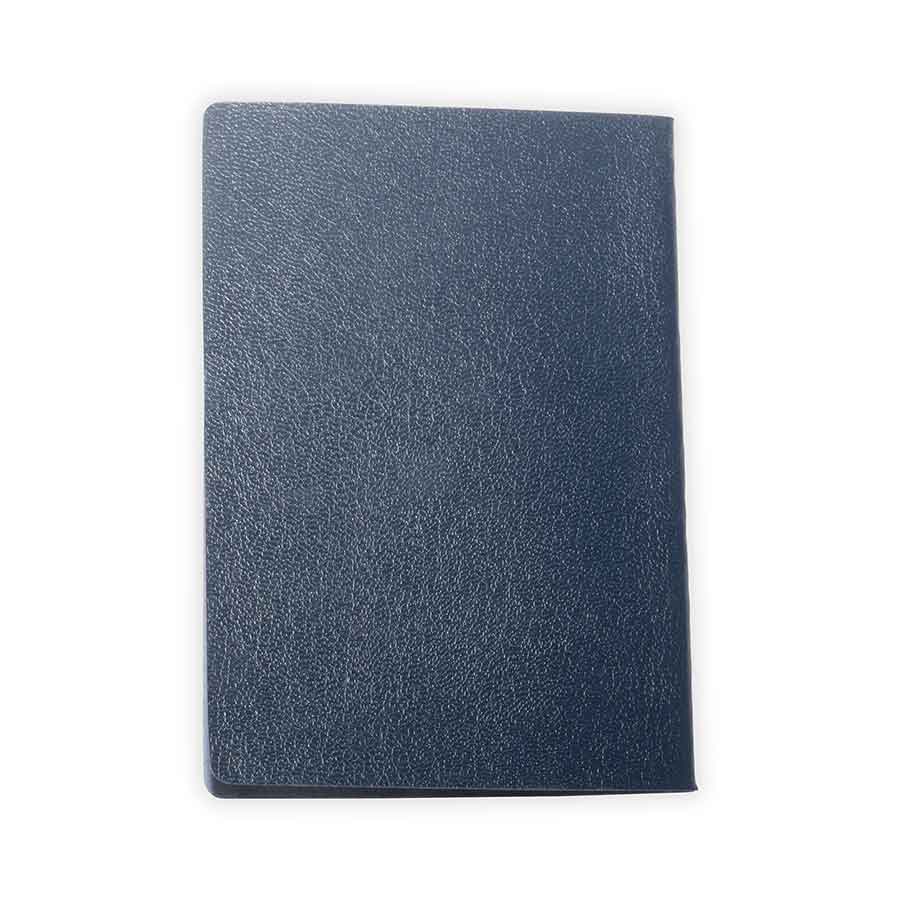 Faux US Passport