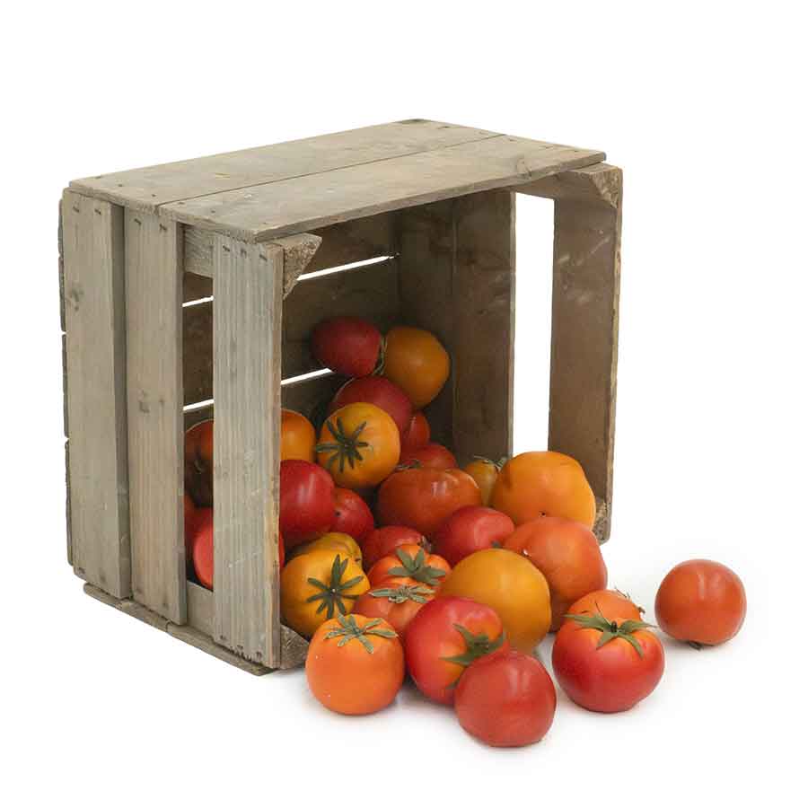 Faux Crate of Tomatoes Rental Prop