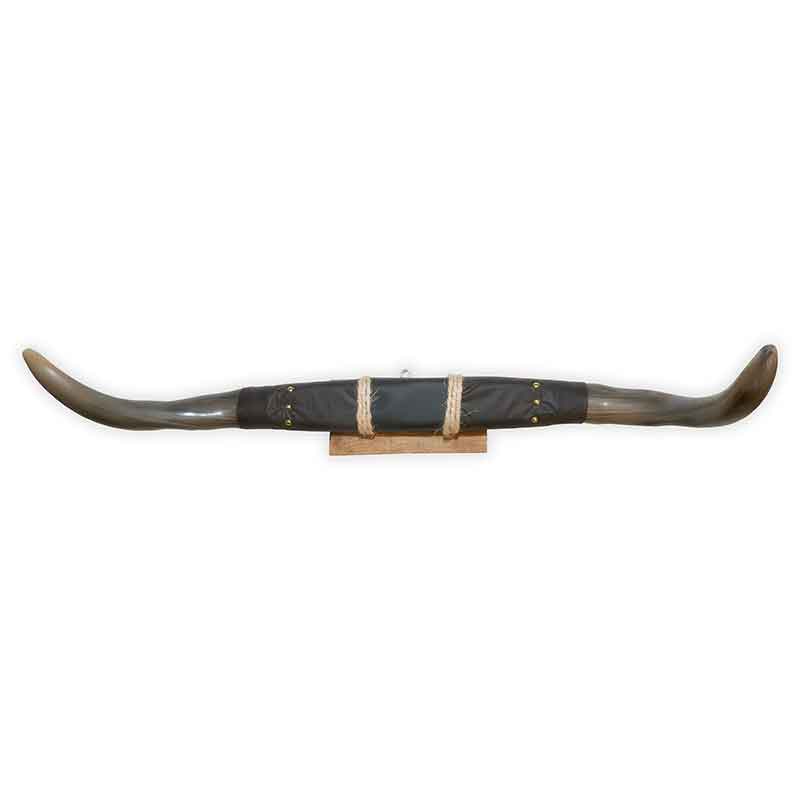 Polished Mounted Steer Horns Decoration