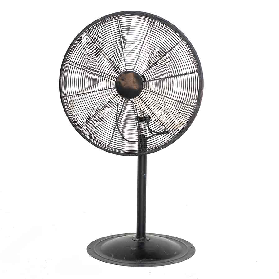 Large Standing Posing Fan