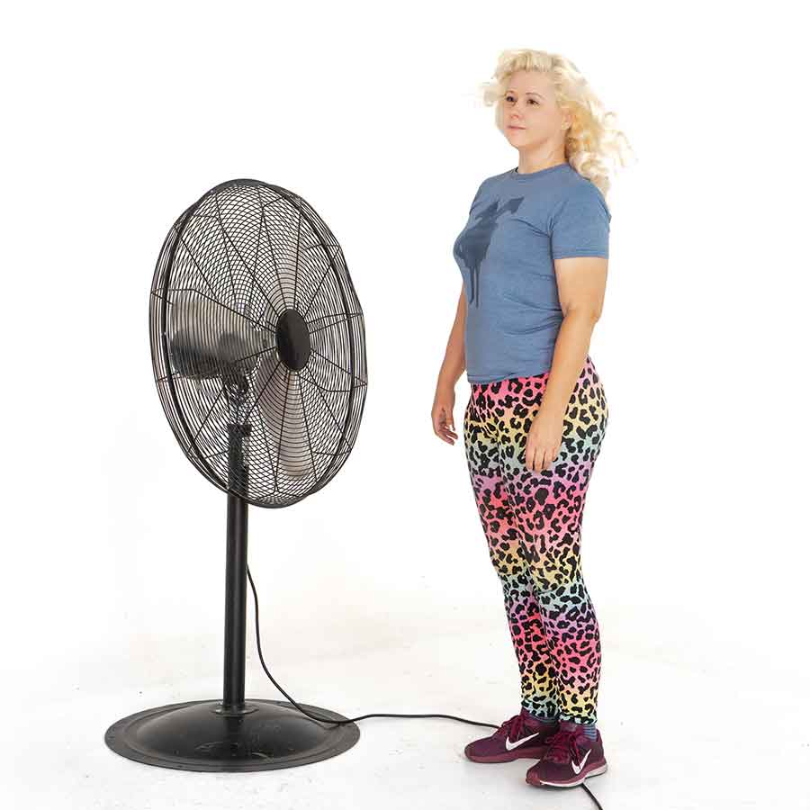 Large Standing Posing Fan