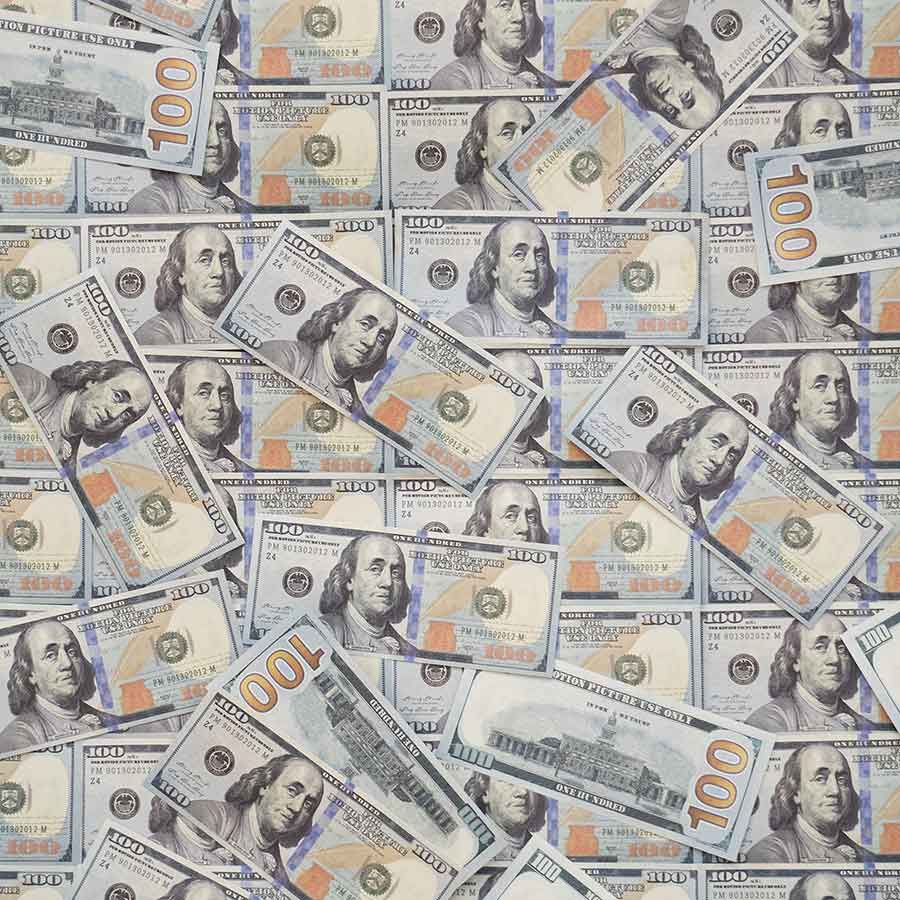 Money Wall / Pile of Money Photography Backdrop