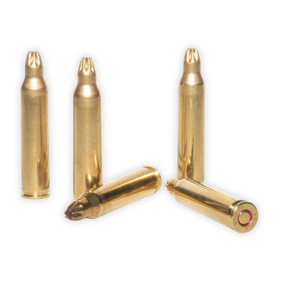 Military Ammo Blanks .223 (5.56 x 45 M200) AR15 / Mini 14 / M16 / (20 Rounds)