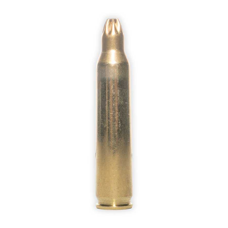 Military Ammo Blanks .223 (5.56 x 45 M200) AR15 / Mini 14 / M16 / (20 Rounds)