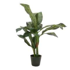 Faux Dumb Canes Plant | Las Vegas Prop House
