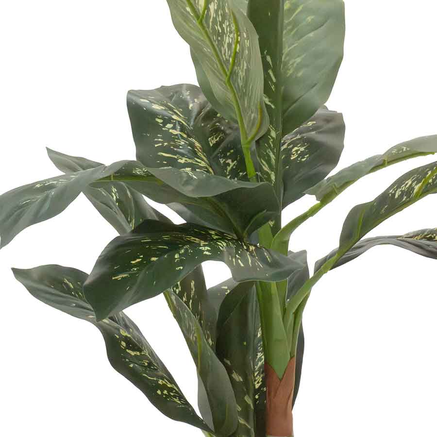 dieffenbachia artificial Faux Dieffenbachia Rental Prop