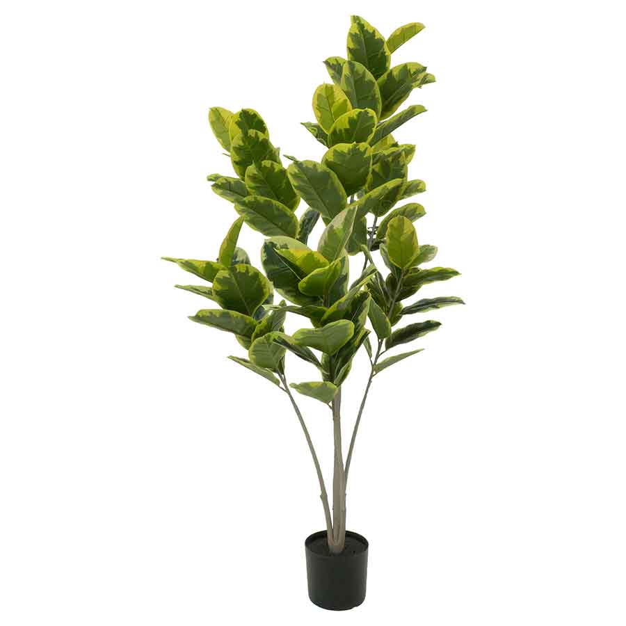Faux Ficus Tree Rental Prop