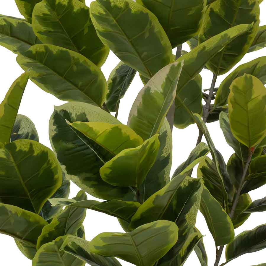 Faux Ficus Tree Rental Prop