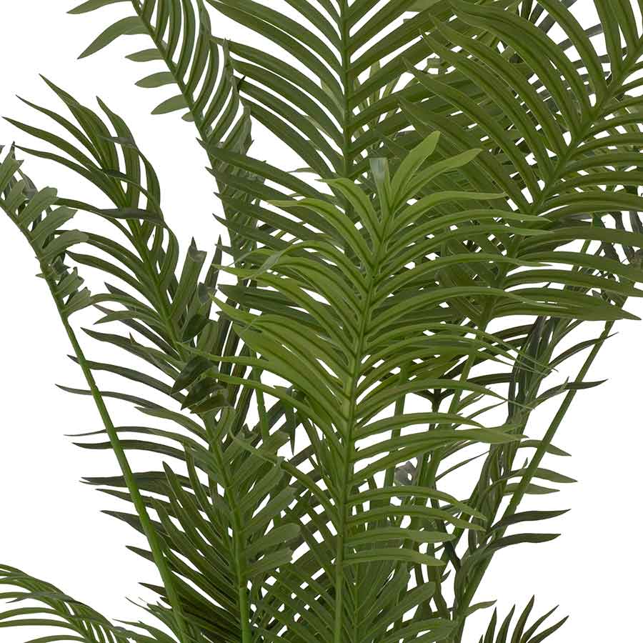 Faux Areca Palm Rental Prop