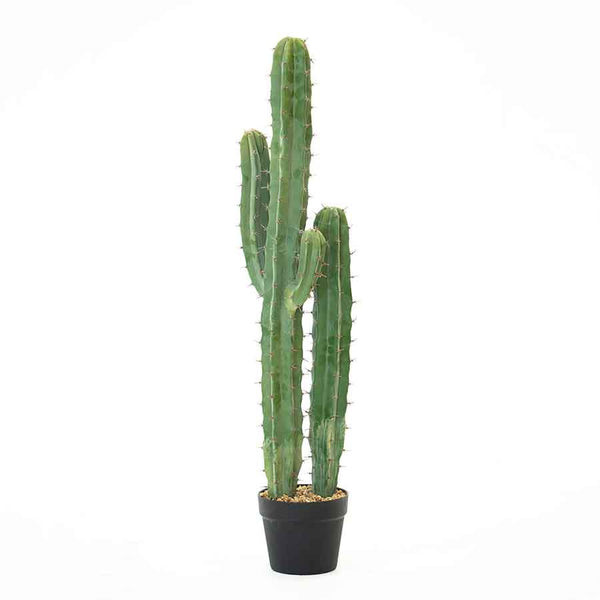 Faux Cactus Short Rental Prop