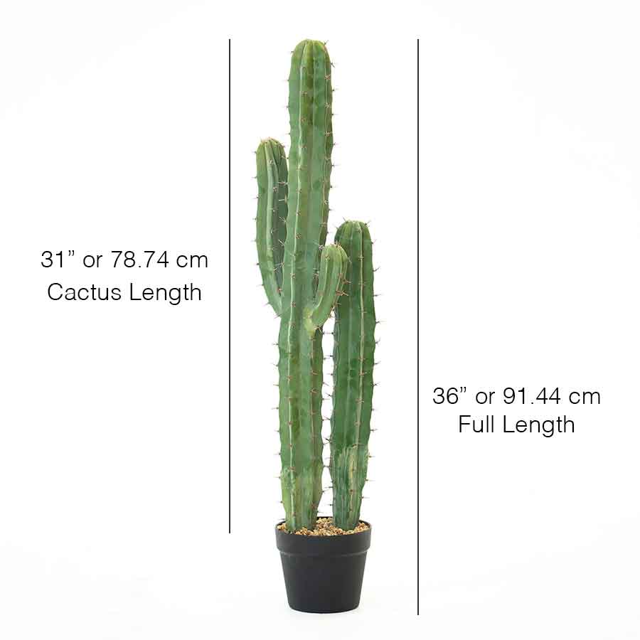 Faux Cactus