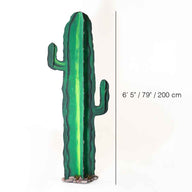 Story Book Cardboard Cactus Set Rental