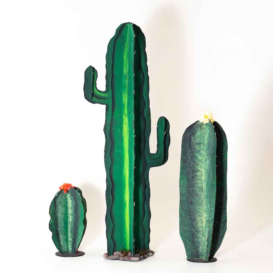 Story Book Cardboard Cactus Set Rental