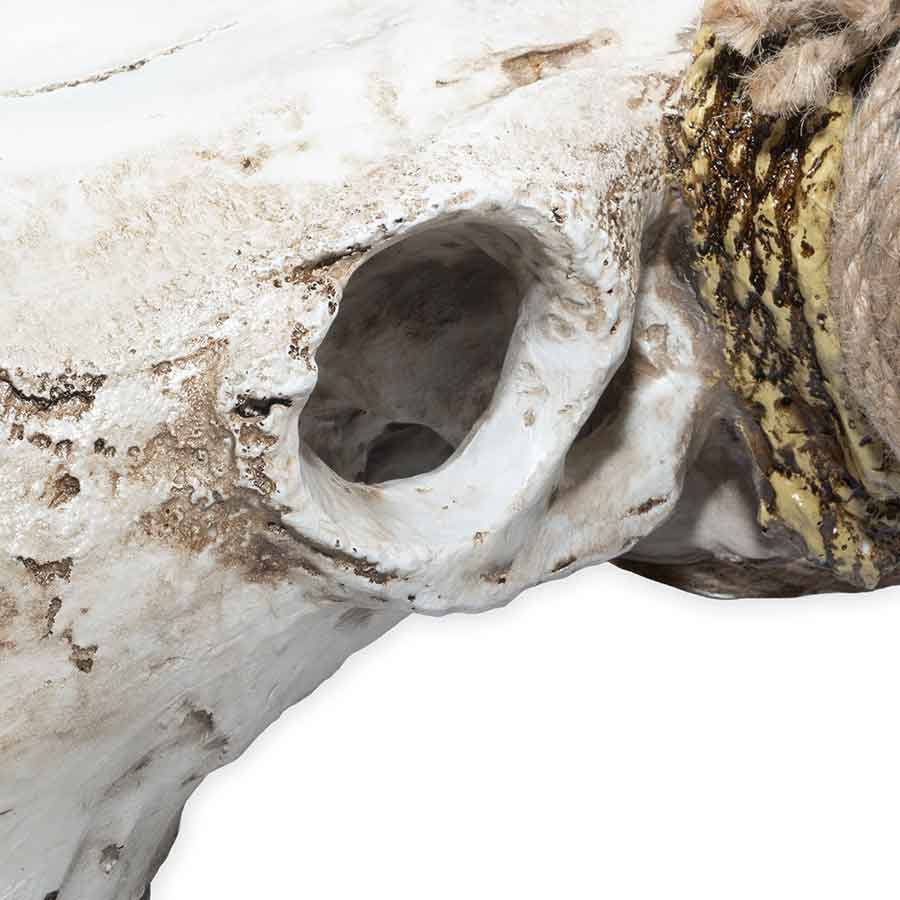 Faux Cow Skull Decoration Rental Prop
