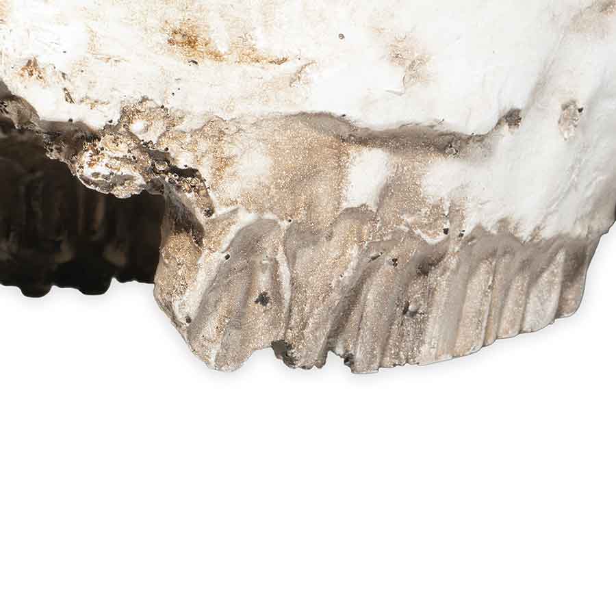 Faux Cow Skull Decoration Rental Prop