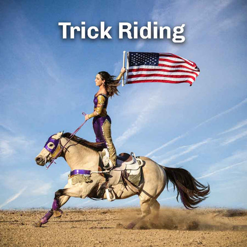 Shop all Trick Riding Saddles and Tack - Western Stage Props · Western ...
