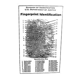 Fingerprint Chart