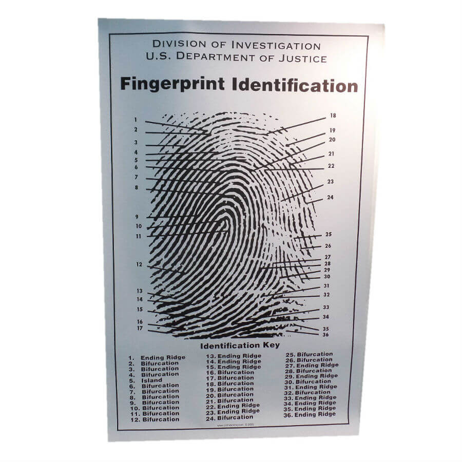 Basic Fingerprint Chart Fingerprint Chart · Western Stage Props
