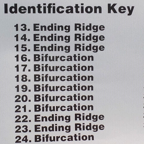 Fingerprint Chart