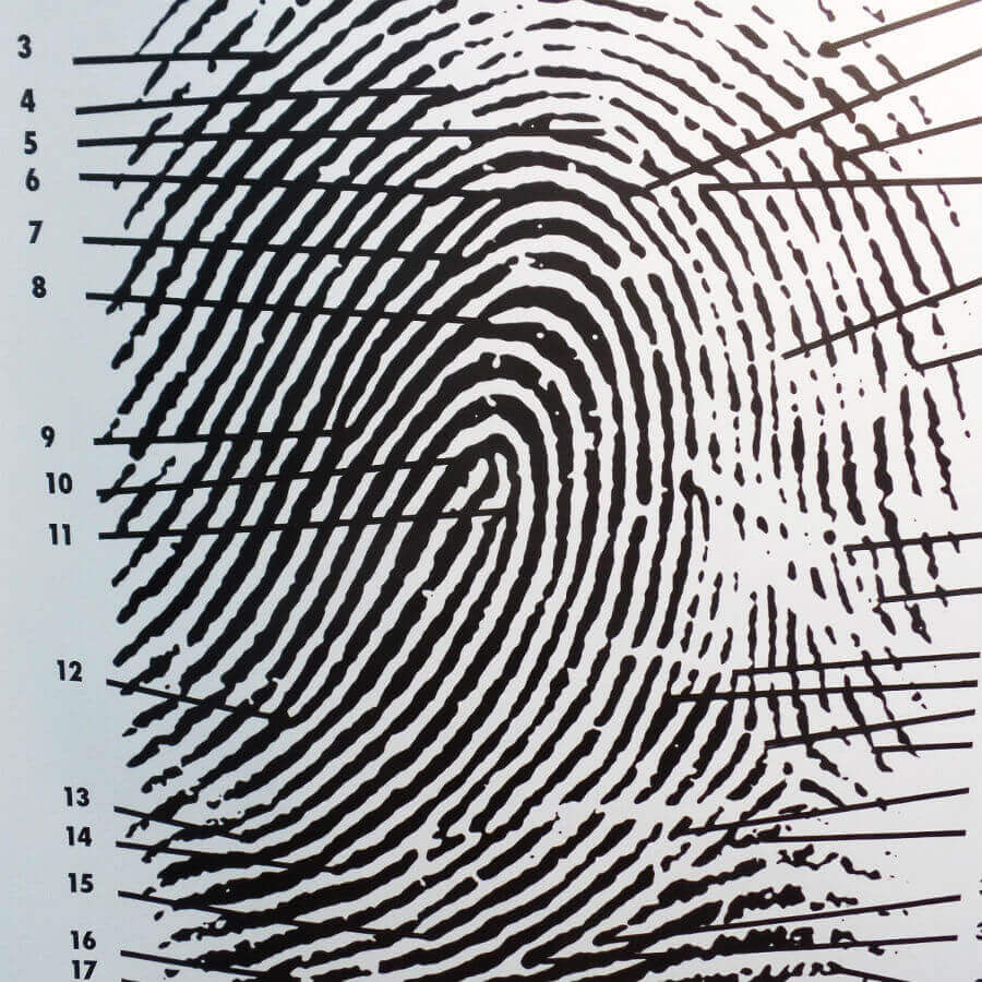 Fingerprint Chart